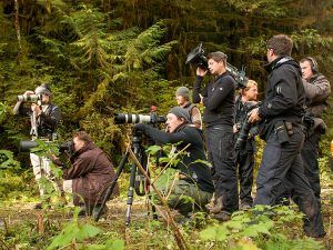 BBC and National Geographic photographers